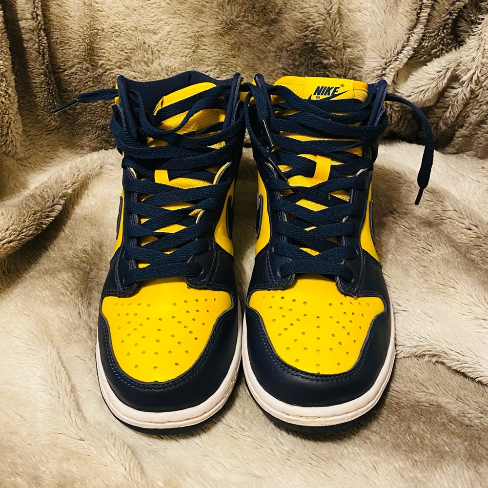 Michigan Dunks WMNs